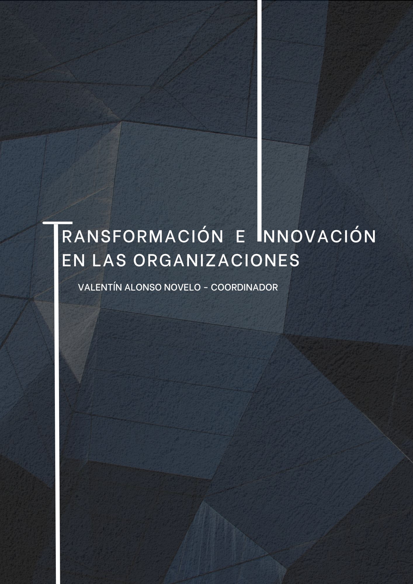 TRANSFORMACIÓN E INNOVACIÓN EN LAS ORGANIZACIONES